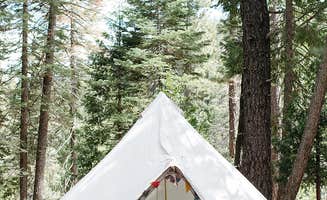 The Dyrt's photo at Mill Creek Resort near Lassen Volcanic National Park