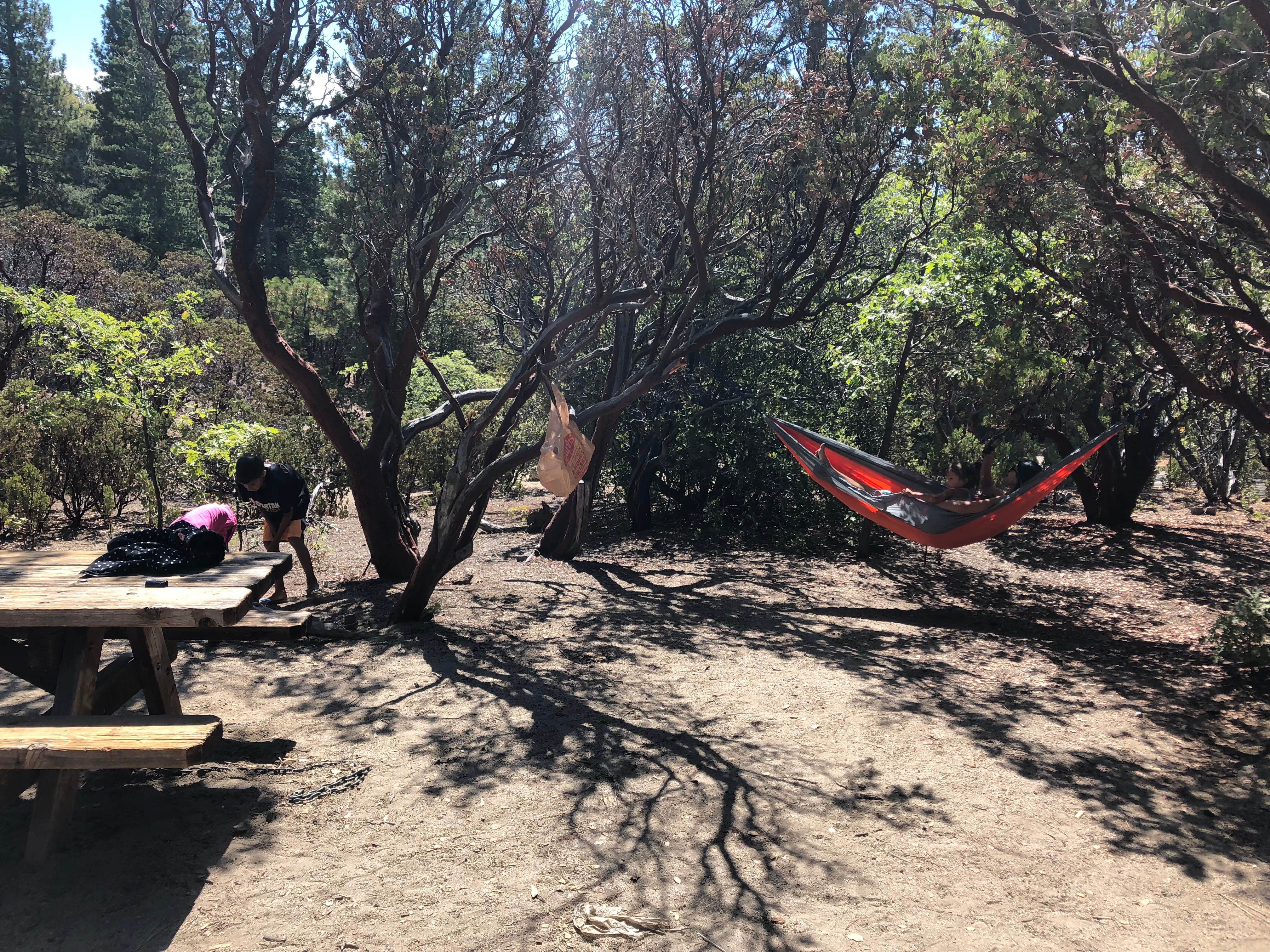 Camper-submitted photo at Stone Creek Campground — Mount San Jacinto State Park near San Jacinto, CA