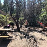 Review photo of Stone Creek Campground — Mount San Jacinto State Park by Brittany N., October 3, 2018