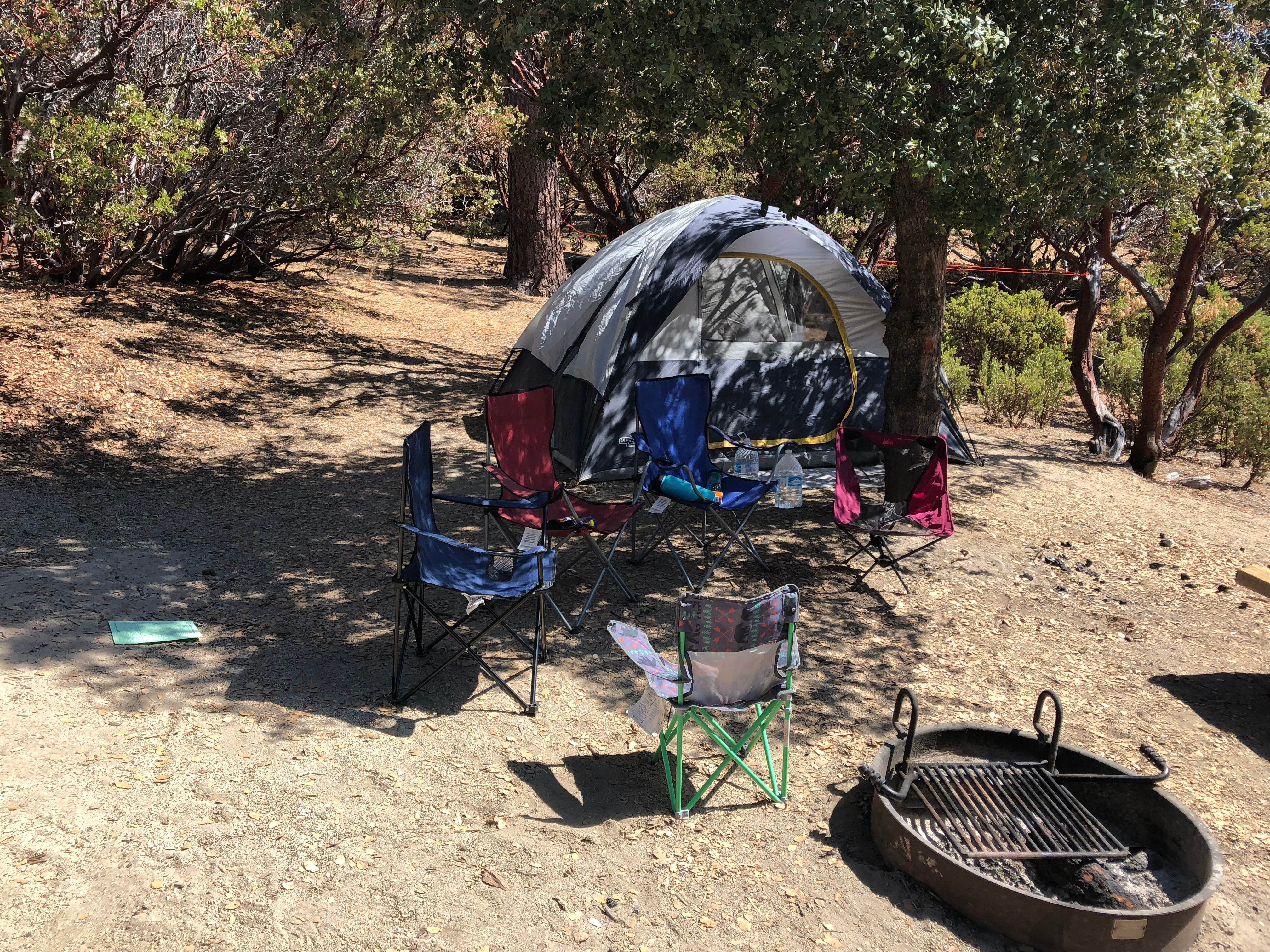 Camper submitted image from Stone Creek Campground — Mount San Jacinto State Park - 3