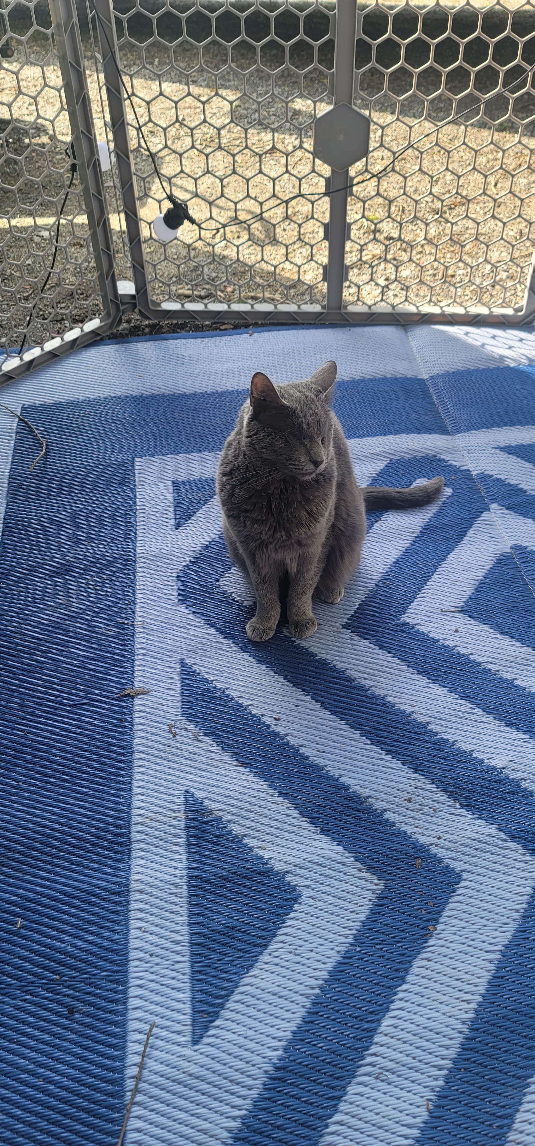 Camper-submitted photo at Smoky Mountain Meadows Campground near Almond, NC