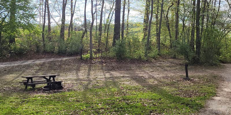 Camper submitted image from Backcountry Site 1 — Norris Dam State Park