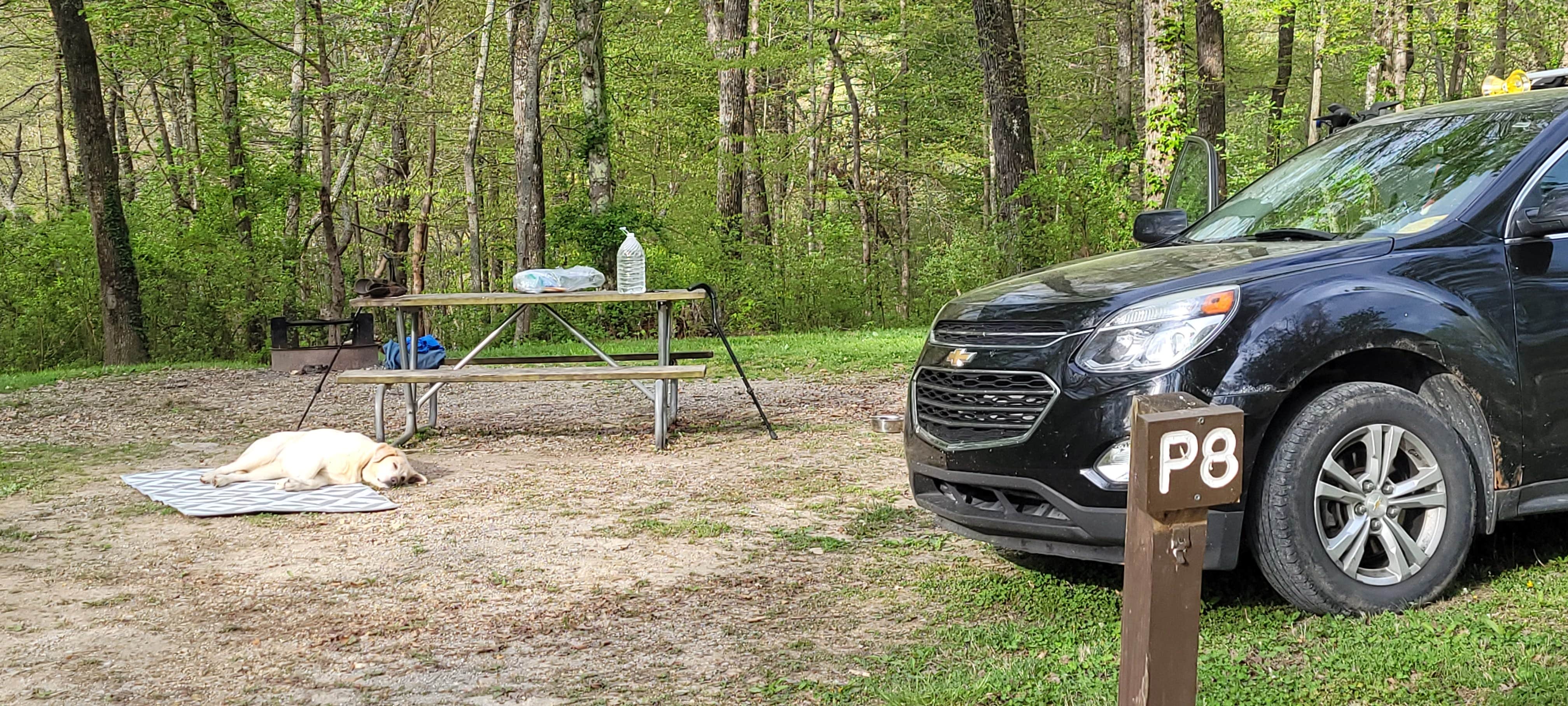 Camper-submitted photo at Backcountry Site 1 — Norris Dam State Park near Clinton, TN