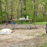 Review photo of Backcountry Site 1 — Norris Dam State Park by Michael M., April 14, 2023