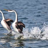 Review photo of Cachuma Lake Recreation Area by Amanda M., October 3, 2018