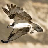 Review photo of Cachuma Lake Recreation Area by Amanda M., October 3, 2018