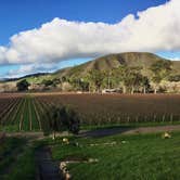 Review photo of Cachuma Lake Recreation Area by Amanda M., October 3, 2018