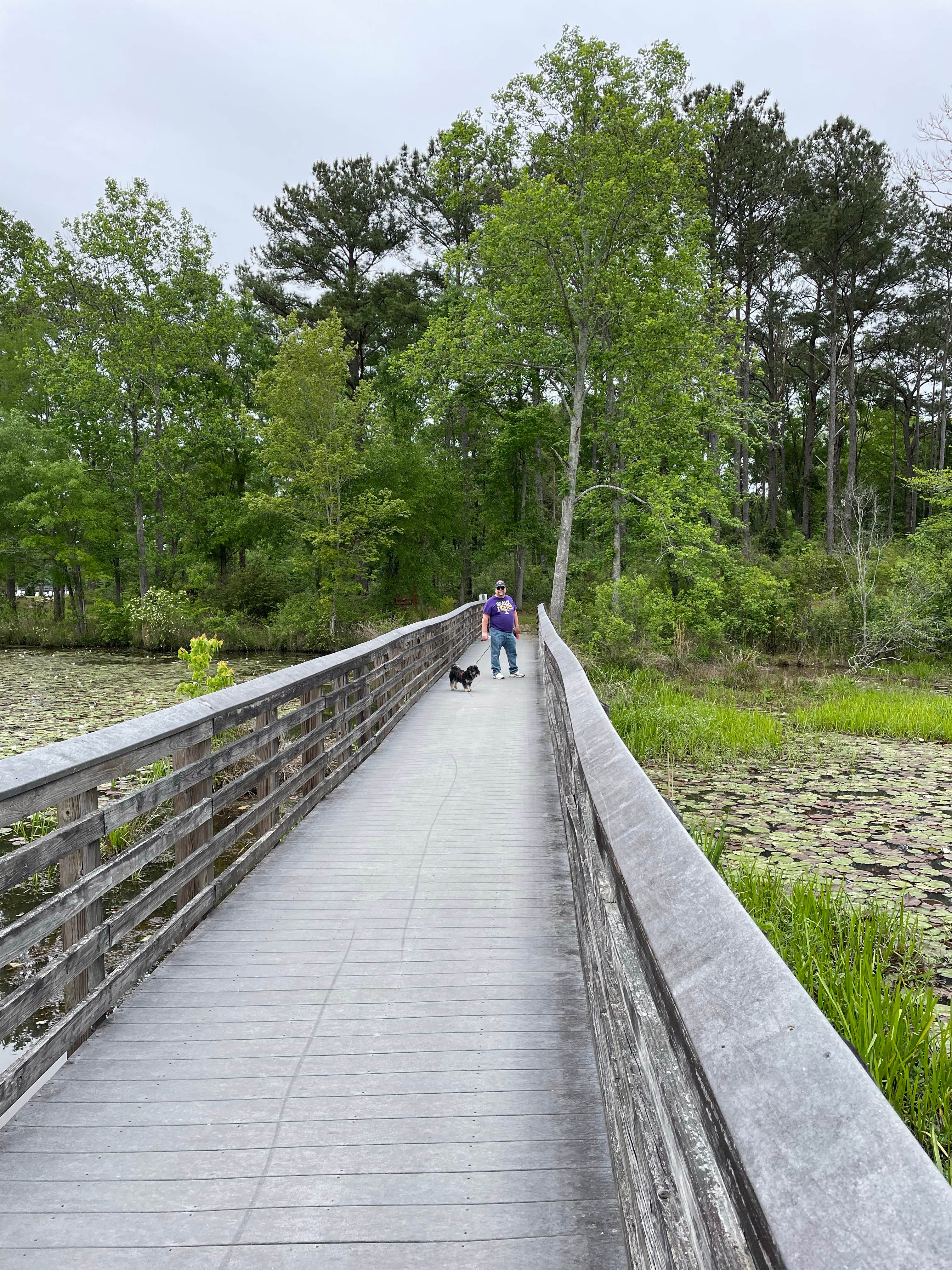 Shirley B.'s photo of camping with pets at Frank Jackson State Park Campground near Geneva, AL