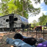 Review photo of Frank Jackson State Park Campground by Shirley B., April 14, 2023