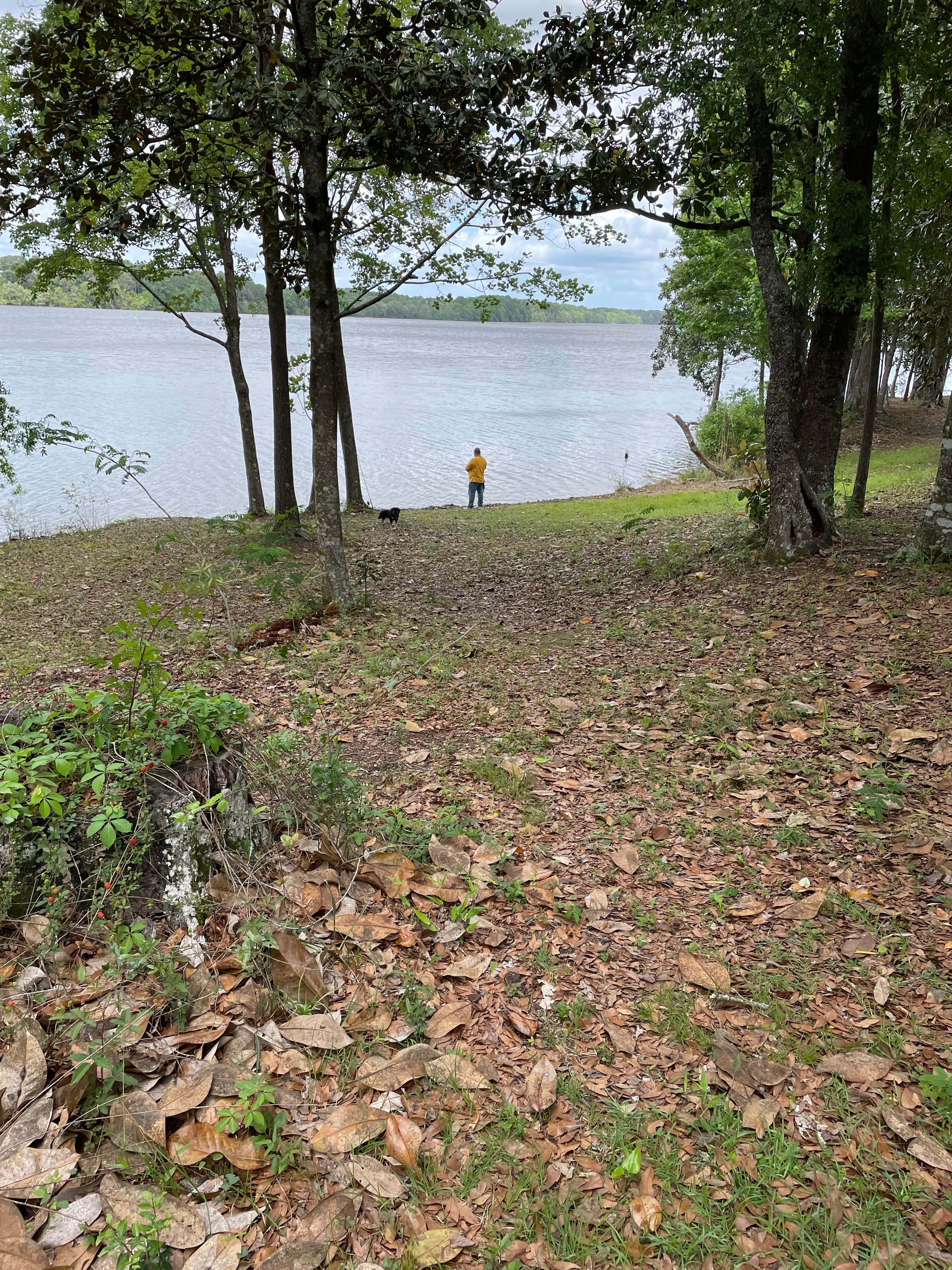 Shirley B.'s photo of camping with pets at Frank Jackson State Park Campground near Troy, AL
