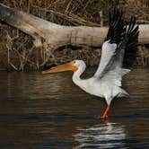 Review photo of Cachuma Lake Recreation Area by Amanda M., October 3, 2018