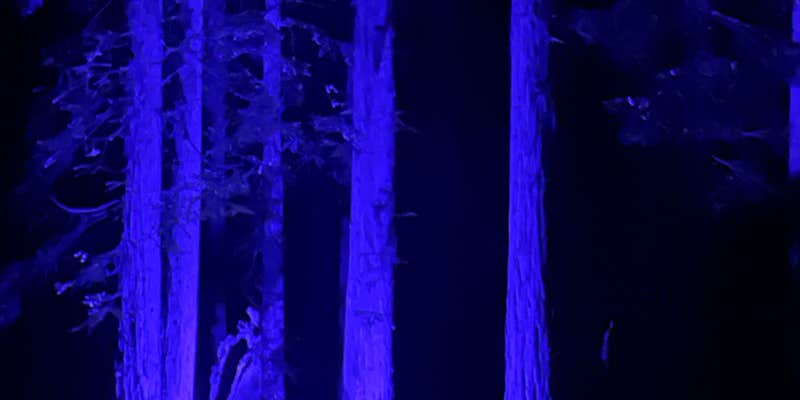 Camper submitted image from Madera Encantada