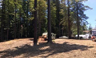 Michele G.'s photo at Madera Encantada near Cazadero, CA