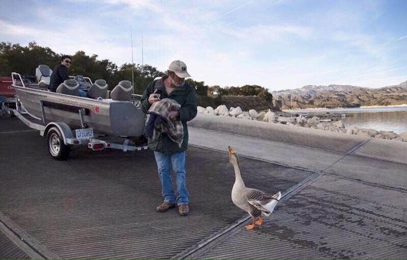 Amanda M.'s photo of camping with a horse at Cachuma Lake Recreation Area in California