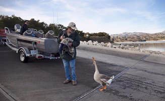 Amanda M.'s photo of camping with a horse at Cachuma Lake Recreation Area near Santa Maria, CA