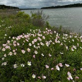 Review photo of Thousand Trails Lake Whitney by Rachel P., April 14, 2023