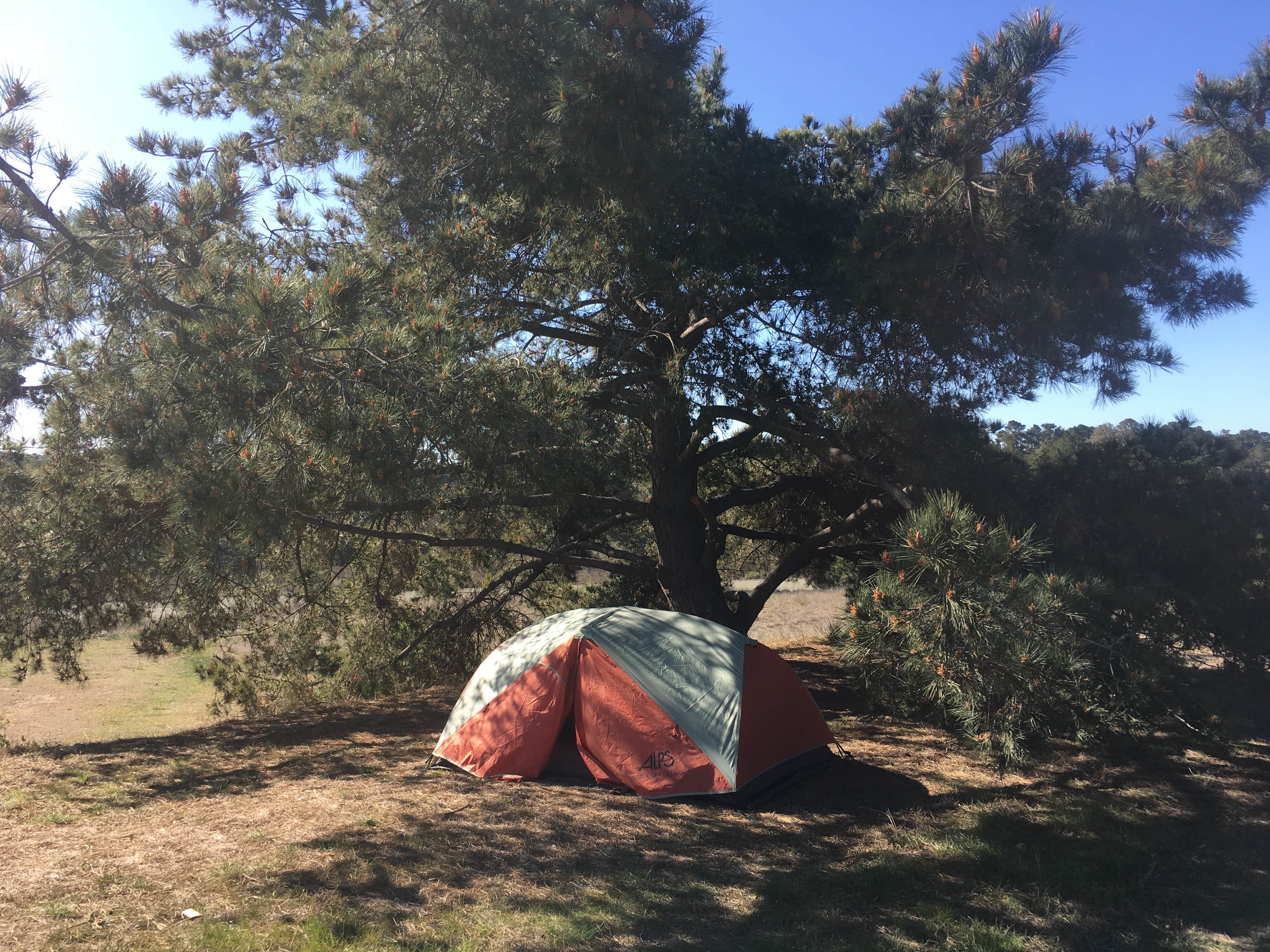 Amanda M.'s photo at San Simeon Creek Campground — Hearst San Simeon State Park near San Simeon, CA