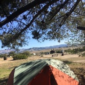 Review photo of San Simeon Creek Campground — Hearst San Simeon State Park by Amanda M., October 3, 2018