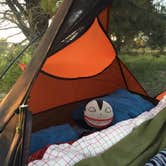 Review photo of San Simeon Creek Campground — Hearst San Simeon State Park by Amanda M., October 3, 2018