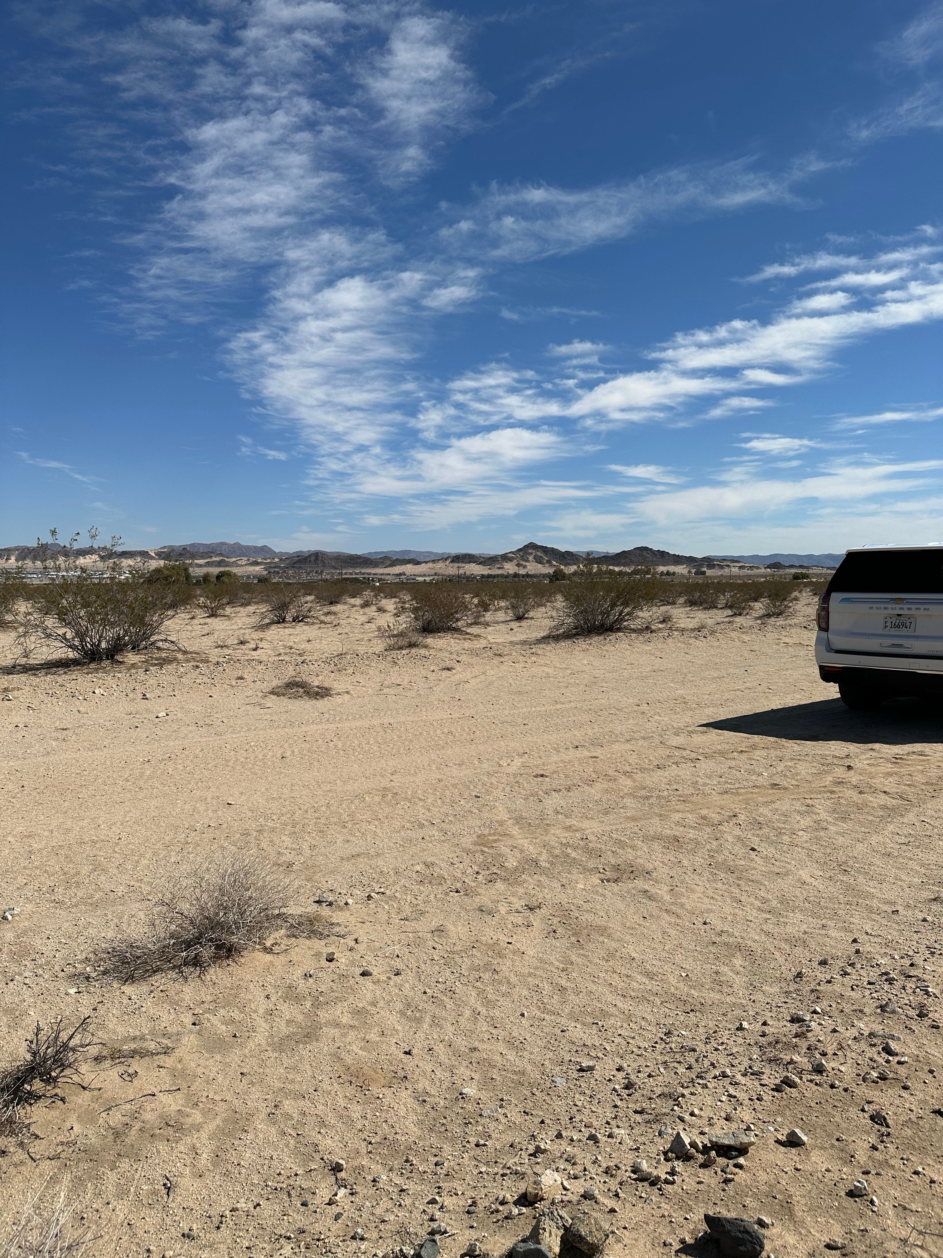 Camper submitted image from Twentynine Palms - 5
