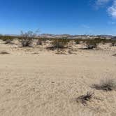 Review photo of Twentynine Palms by Stephanie C., April 15, 2023