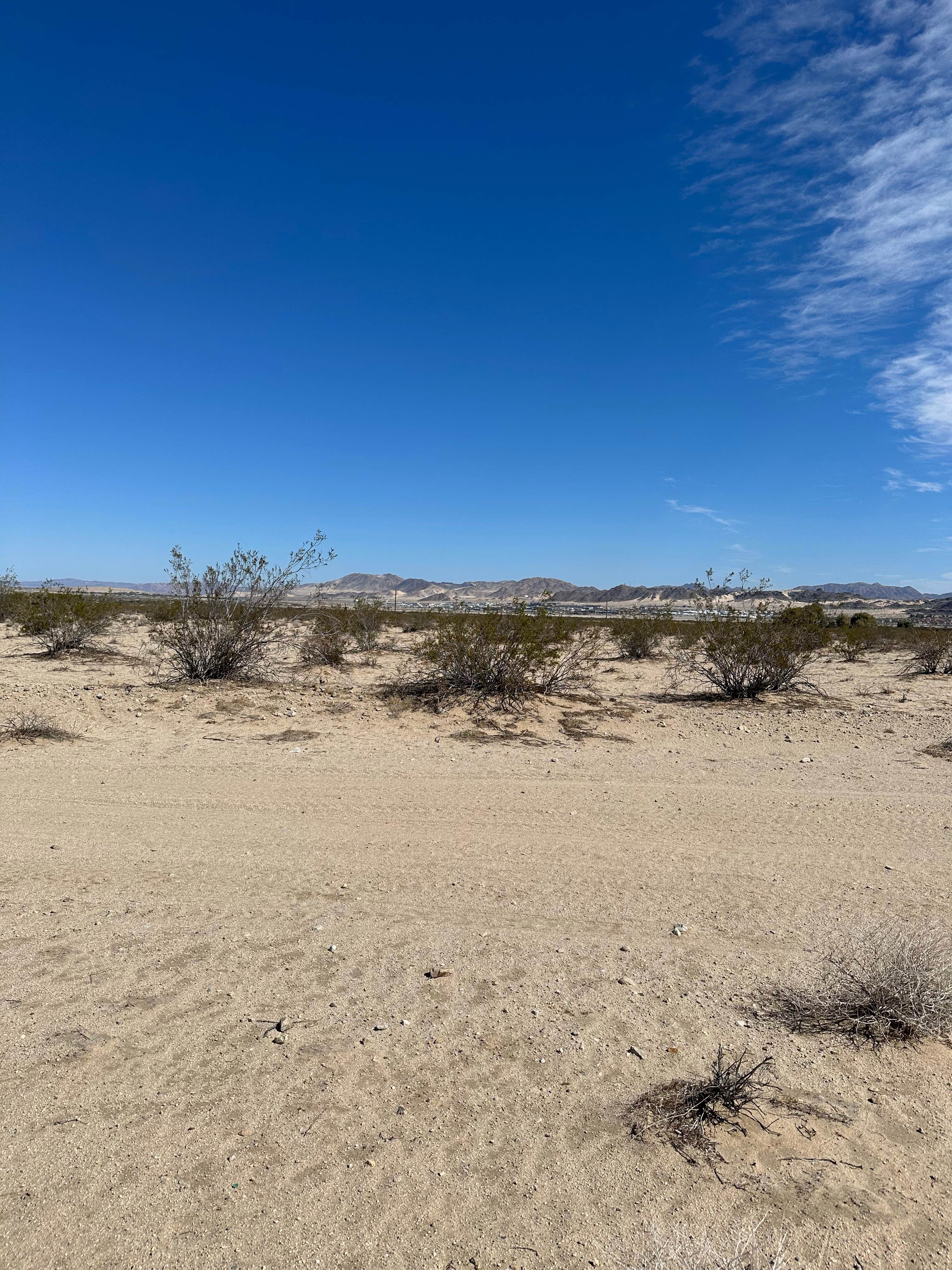 Camper submitted image from Twentynine Palms - 2