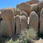 Review photo of Twentynine Palms by Stephanie C., April 15, 2023