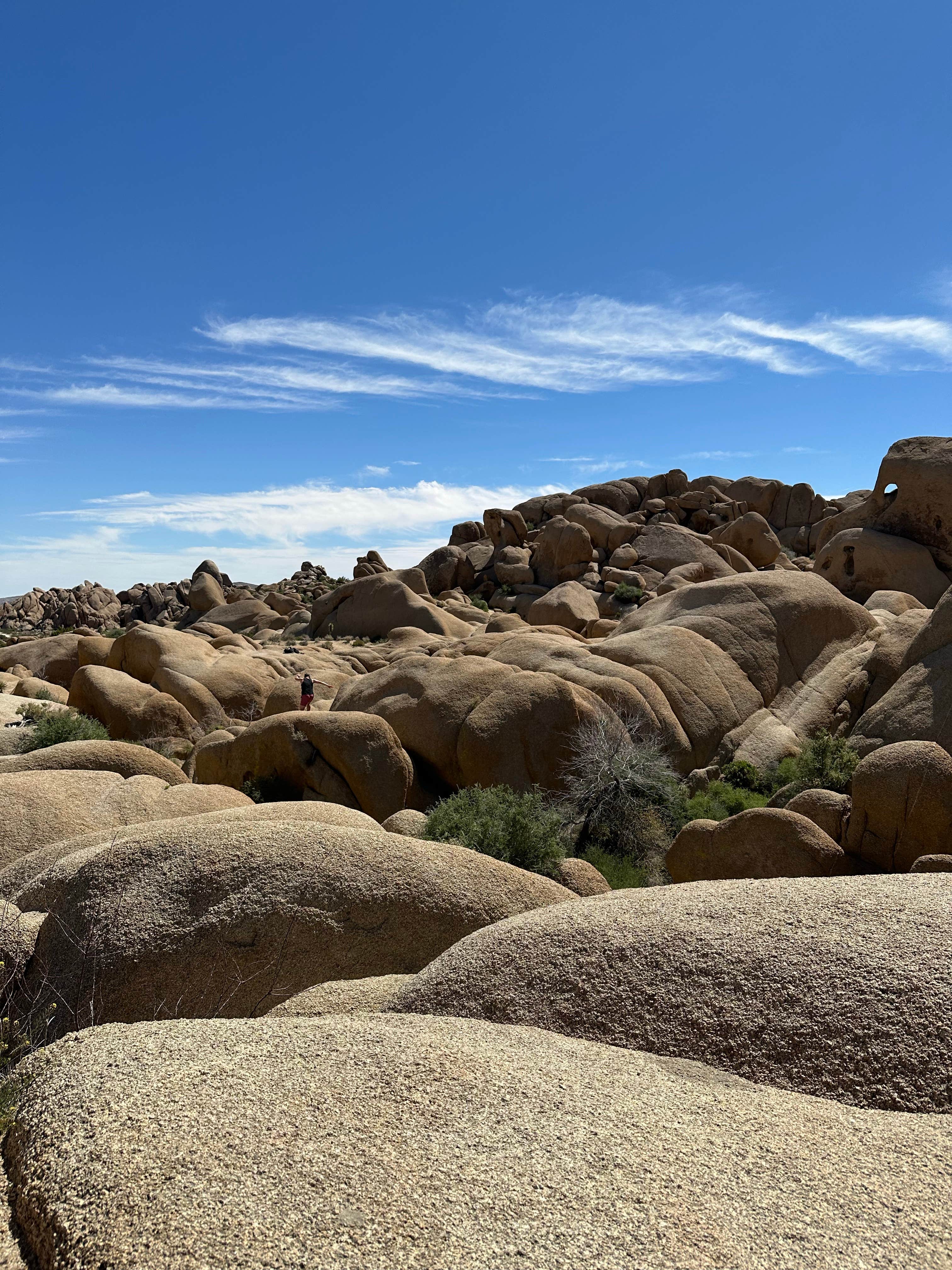 Camper submitted image from Twentynine Palms - 5