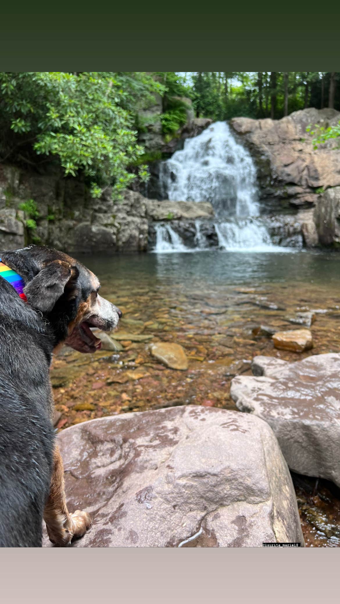 Kay J.'s photo of camping with pets at Hickory Run State Park Campground near Andreas, PA