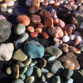 Review photo of San Simeon Creek Campground — Hearst San Simeon State Park by Amanda M., October 3, 2018