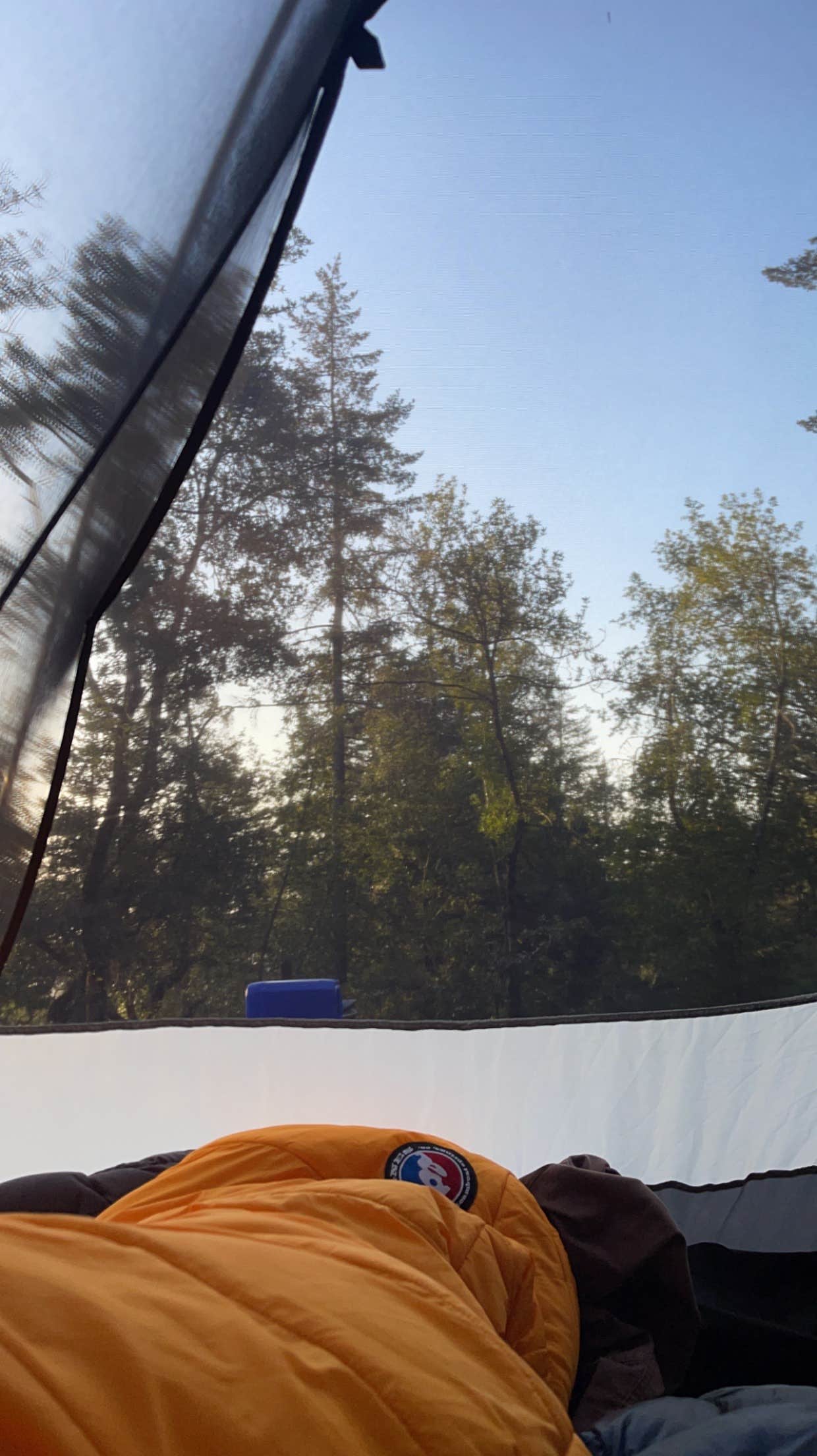 Camper submitted image from Bootjack Campground — Mount Tamalpais State Park - 1