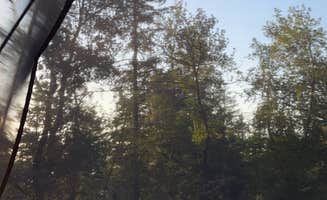 rylee's photo at Bootjack Campground — Mount Tamalpais State Park near Port Costa, CA