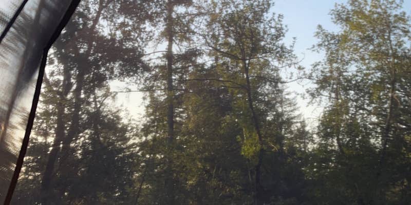 Camper submitted image from Bootjack Campground — Mount Tamalpais State Park