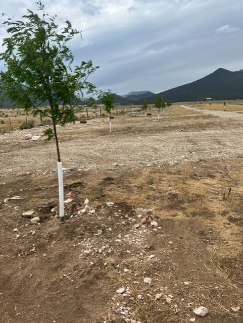 Camping near City of Rocks Campground — City of Rocks Natural Reserve: City of Rocks Camp and Climb, Almo, Idaho