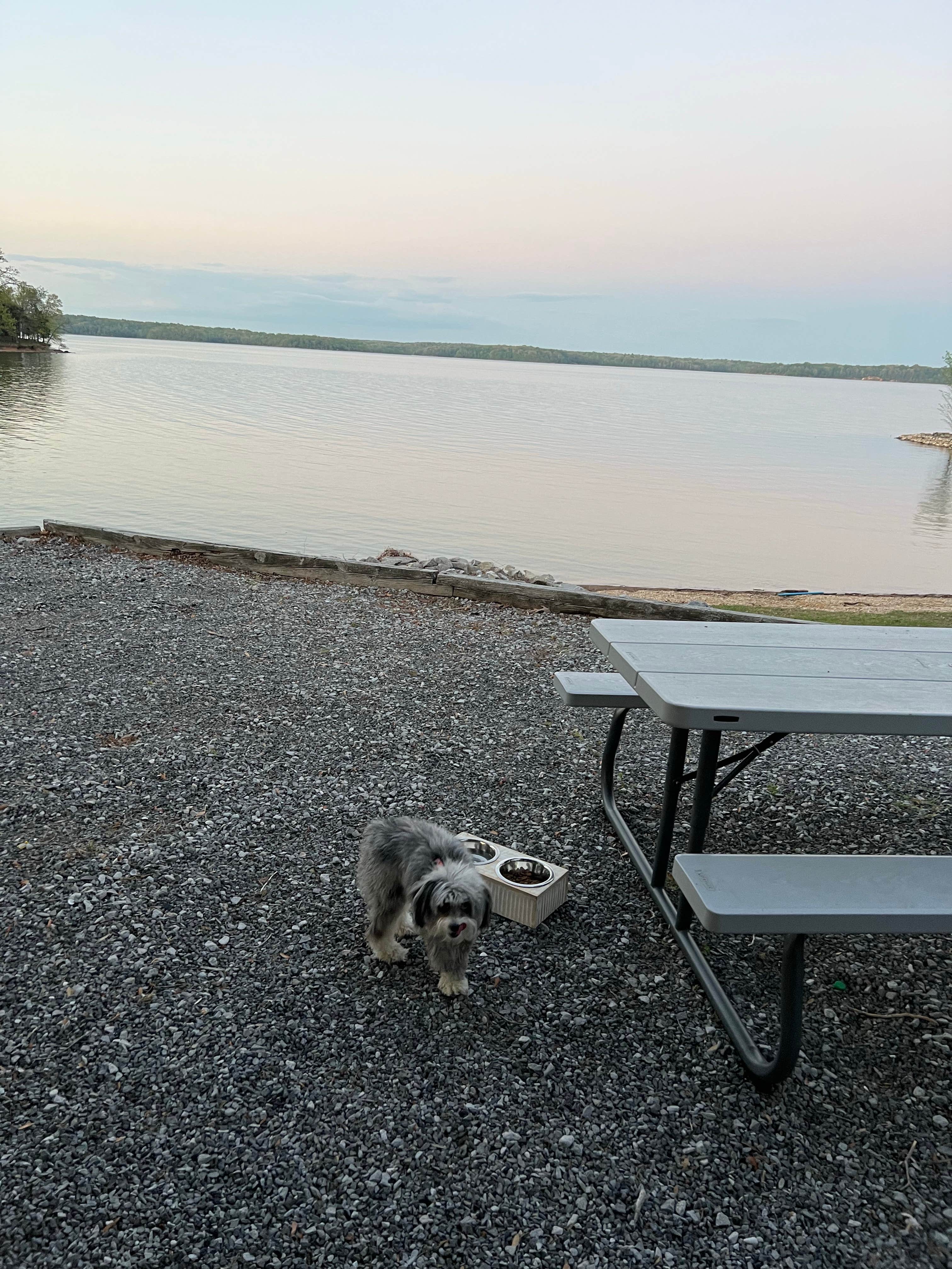 Amanda's photo of camping with pets at Birmingham Point Campground near Calvert City, KY