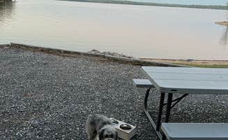 Amanda's photo of camping with pets at Birmingham Point Campground near Paducah, KY