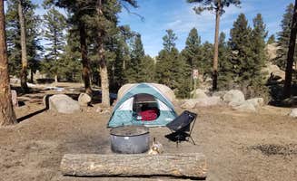 Russell Z.'s photo of a dispersed camping area at Buffalo Creek Recreation Area near Englewood, CO