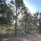 Review photo of Kaibab Forest Dispersed FR 682 by cathy G., April 15, 2023