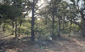 cathy G.'s photo of camping with pets at Kaibab Forest Dispersed FR 682 near Cameron, AZ