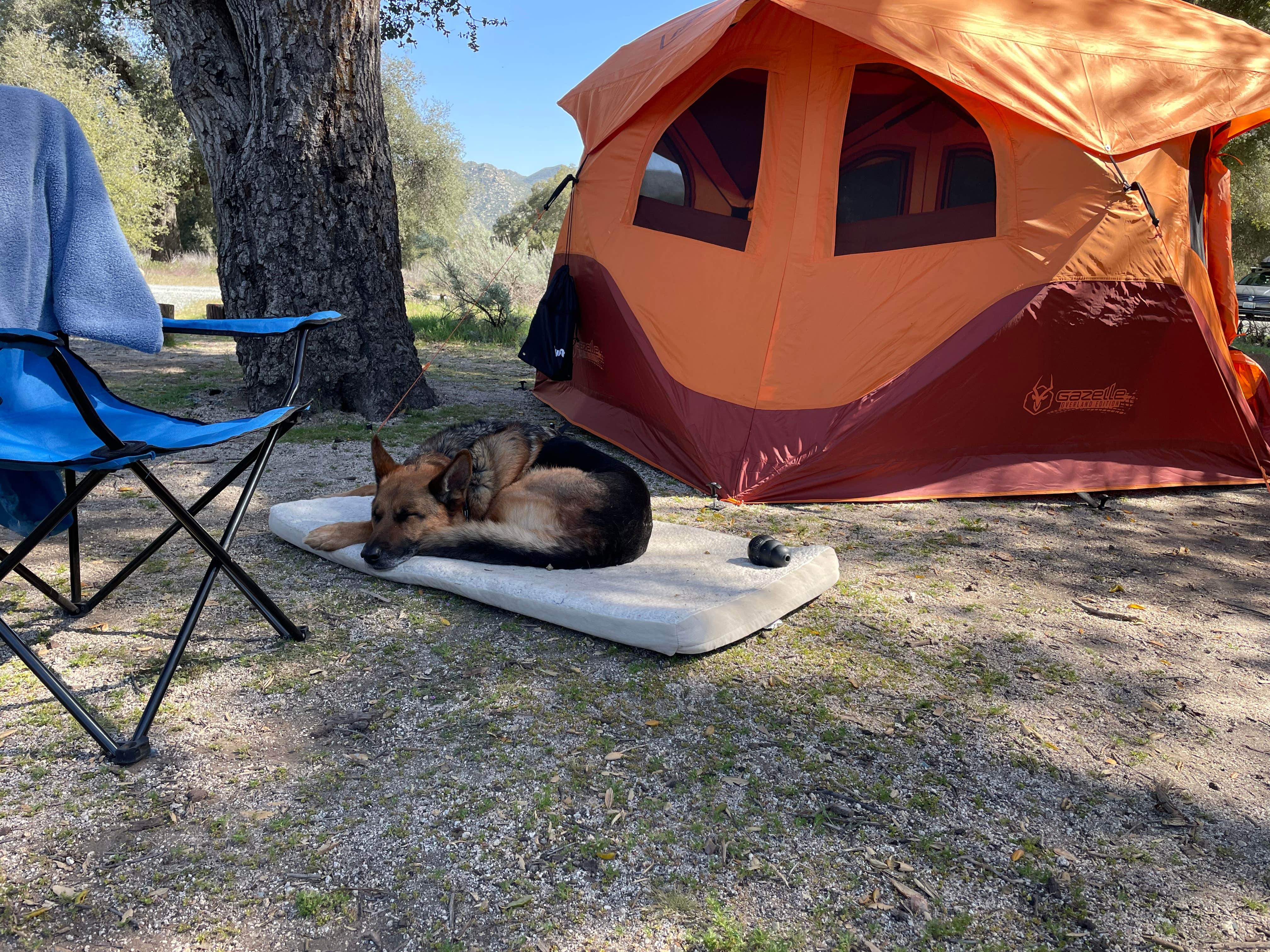 Camper-submitted photo at Boulder Oaks Eqst near Boulevard, CA