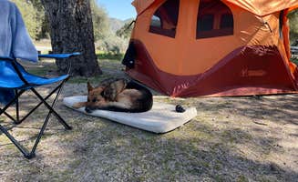 Christopher M.'s photo at Boulder Oaks Eqst near Guatay, CA