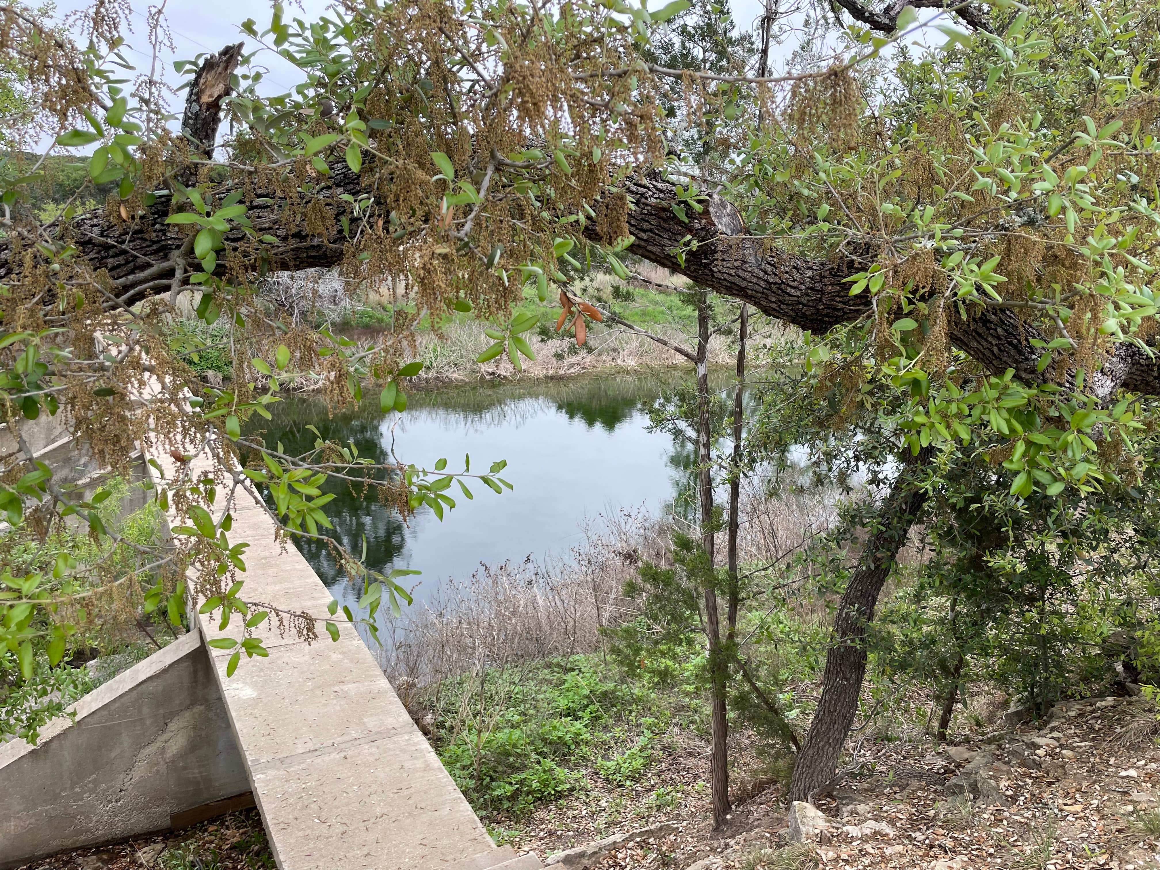 Camper-submitted photo at Little Lucy RV Resort near Copperas Cove, TX