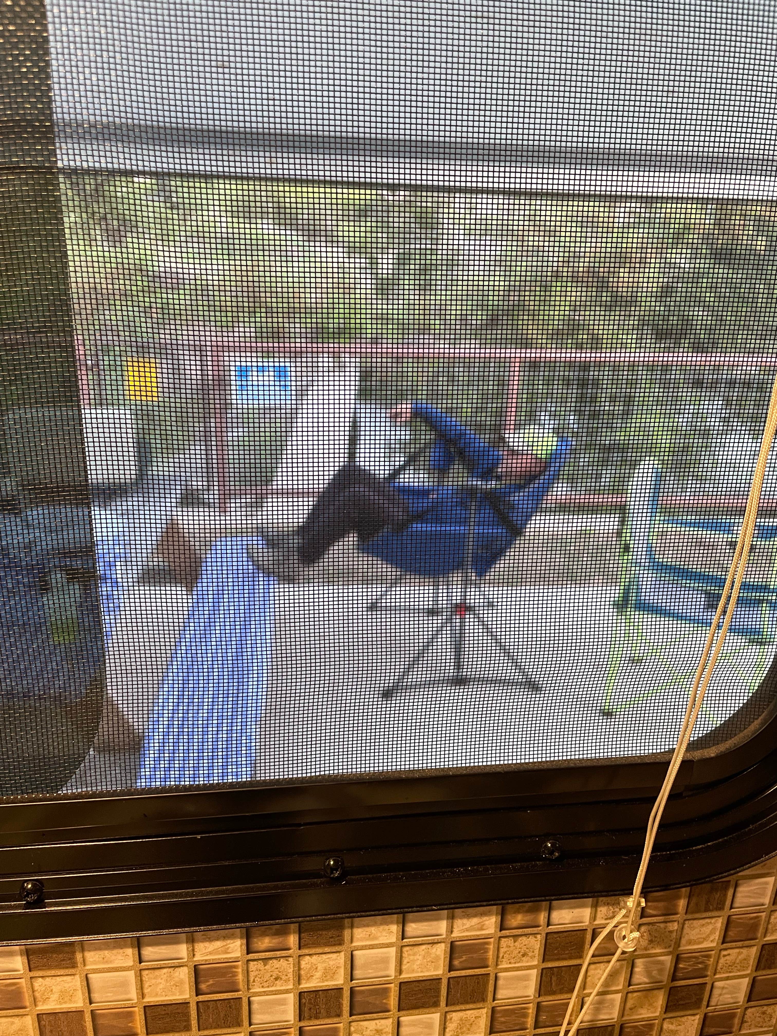 Camper-submitted photo at Little Lucy RV Resort near Copperas Cove, TX