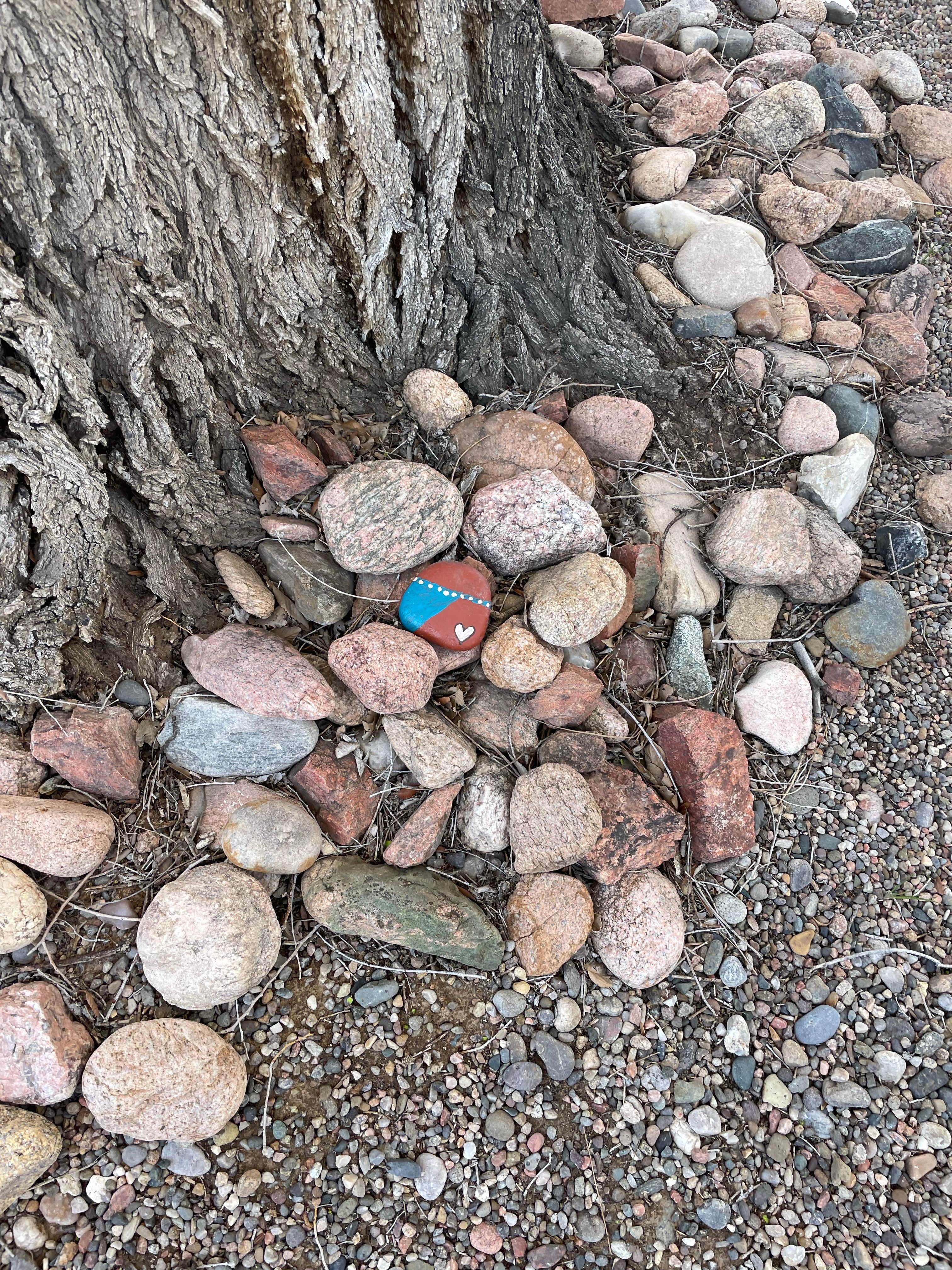 Camper-submitted photo at Trailer Ranch RV Resort near Eldorado at Santa Fe, NM