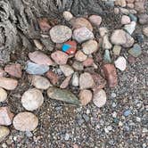 Review photo of Trailer Ranch RV Resort by Rowan B., April 16, 2023