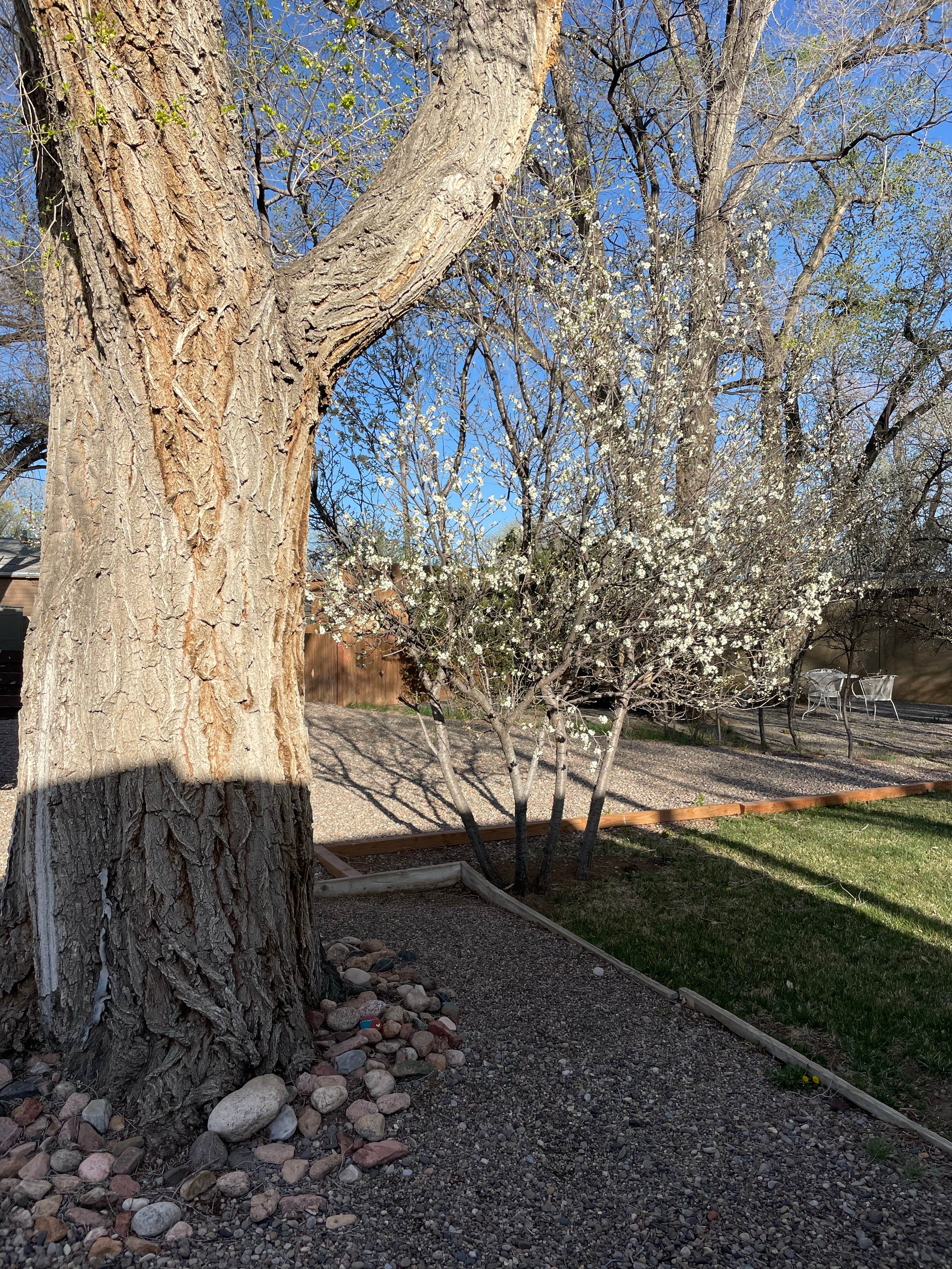 Camper-submitted photo at Trailer Ranch RV Resort near Eldorado at Santa Fe, NM