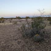 Review photo of Ironwood Forest BLM National Monument Pump Station Dispersed by Fern B., April 16, 2023