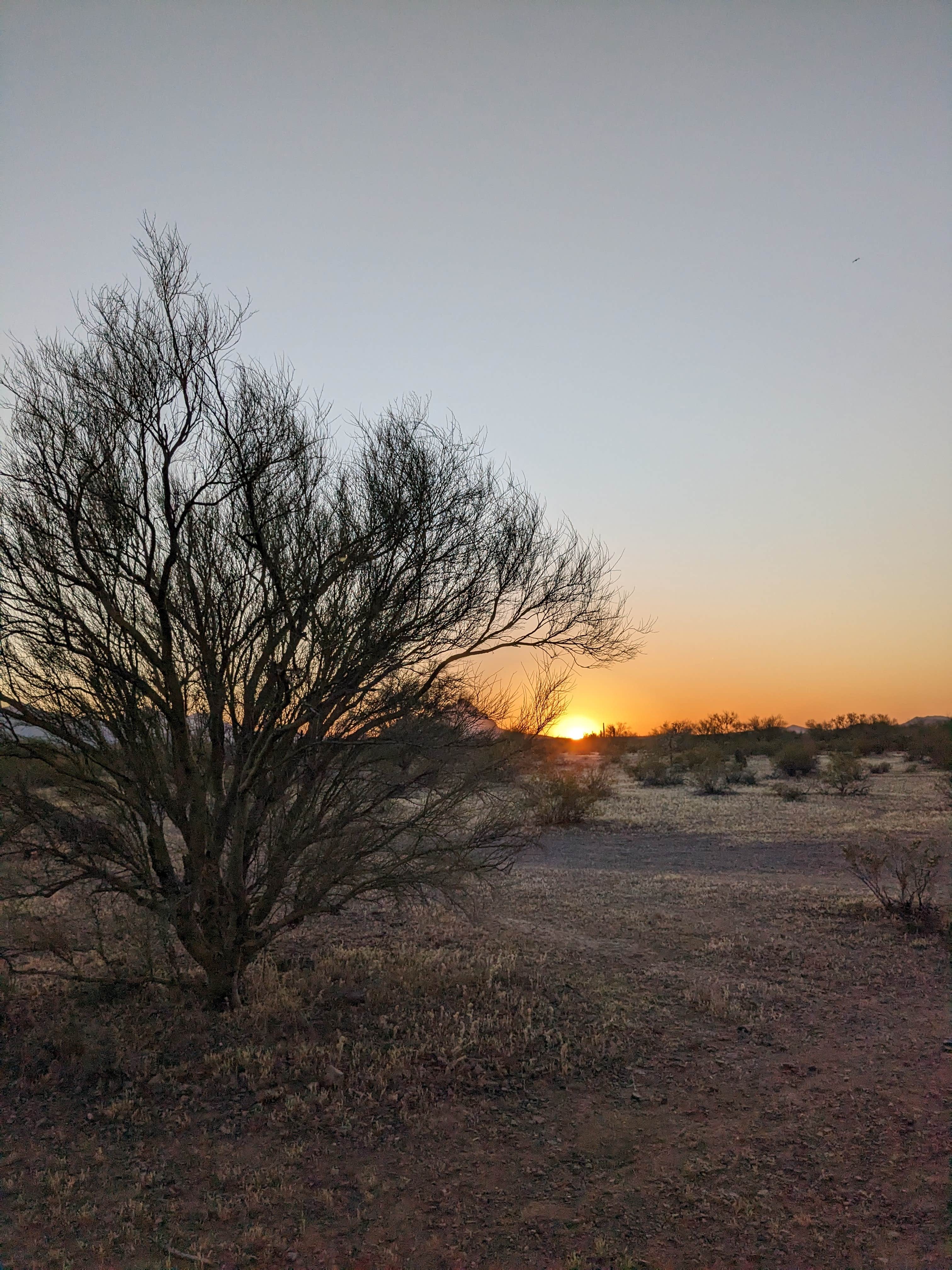 Fern B.'s photo of a dispersed camping area at Ironwood Forest BLM National Monument Pump Station Dispersed near Picacho, AZ