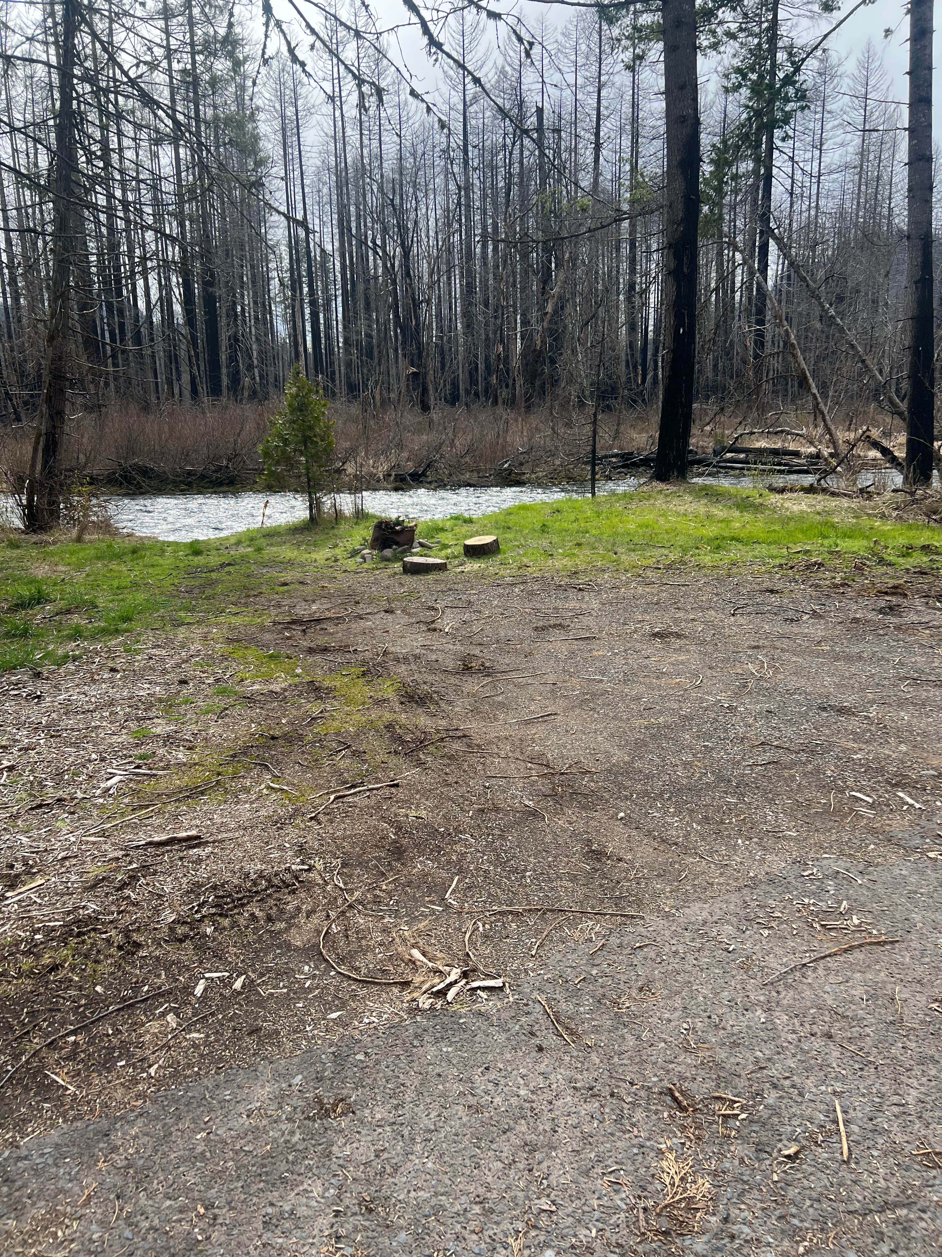 Camping near Indian Ridge Lookout: My Fishing Spot, Blue River, Oregon