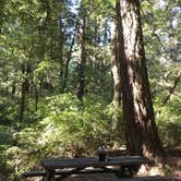 Review photo of Hidden Springs Campground — Humboldt Redwoods State Park by Amanda M., October 3, 2018